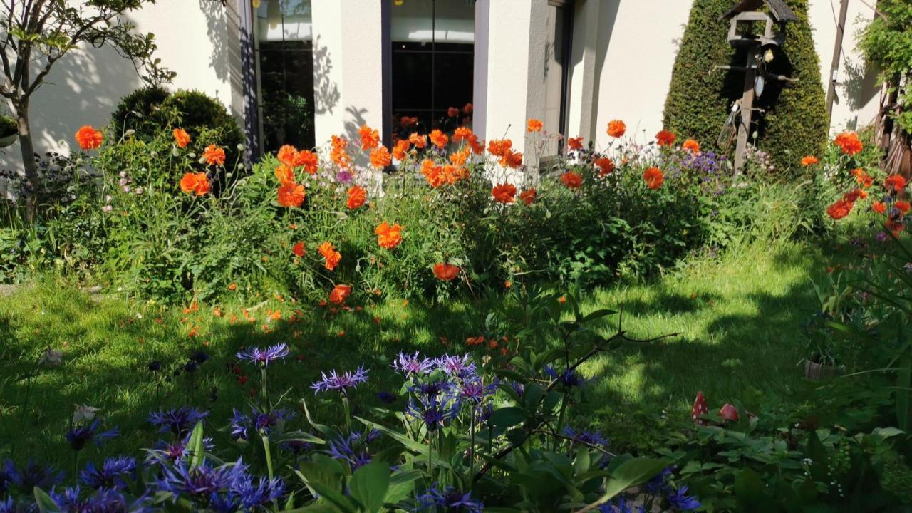 Gartenwohnung Paulsdorf Dippoldiswalde Εξωτερικό φωτογραφία