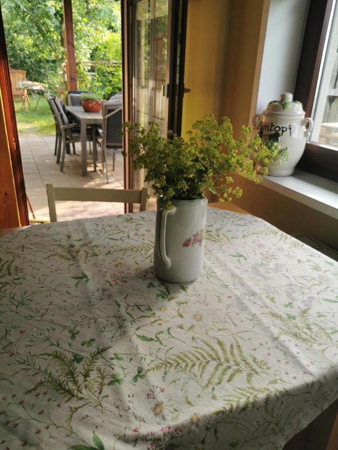 Gartenwohnung Paulsdorf Dippoldiswalde Εξωτερικό φωτογραφία